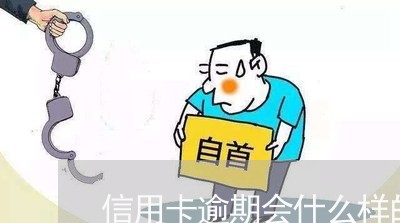 信用卡逾期会什么样的后果/2023041320390