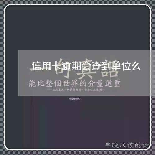 信用卡逾期会查到单位么/2023072166038