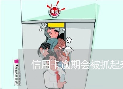 信用卡逾期会被抓起来吗 信用卡逾期会被抓起来吗