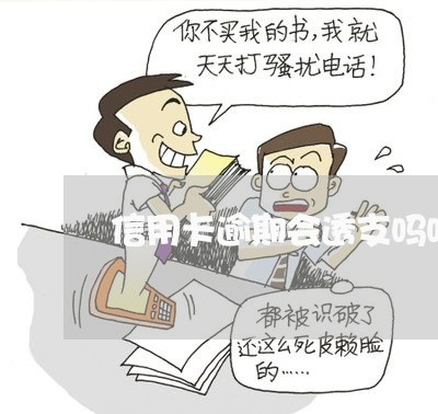 信用卡逾期会透支吗吗/2023061660571 信用卡逾期会透支吗吗/2023061660571