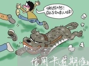 信用卡逾期催收怎么回答 信用卡逾期催收怎么回答
