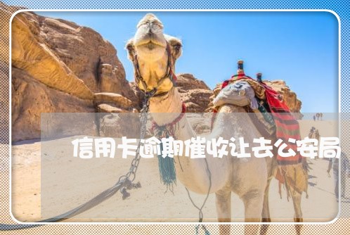 信用卡逾期催收让去公安局 信用卡逾期催收让去公安局