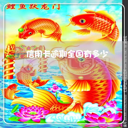 信用卡逾期全国有多少/2023061590601