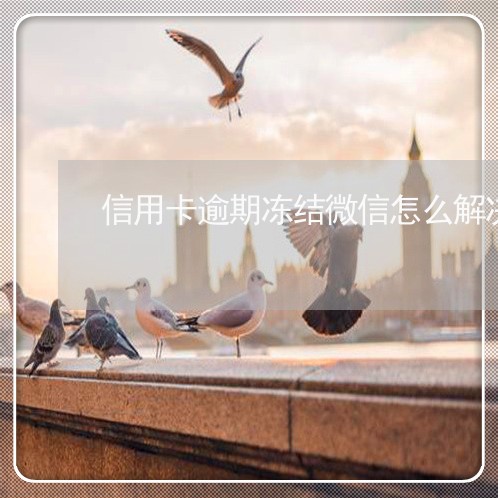 信用卡逾期冻结微信怎么解决/2023012287382 信用卡逾期冻结微信怎么解决/2023012287382