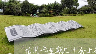 信用卡逾期几十会上征信吗 信用卡逾期几十会上征信吗