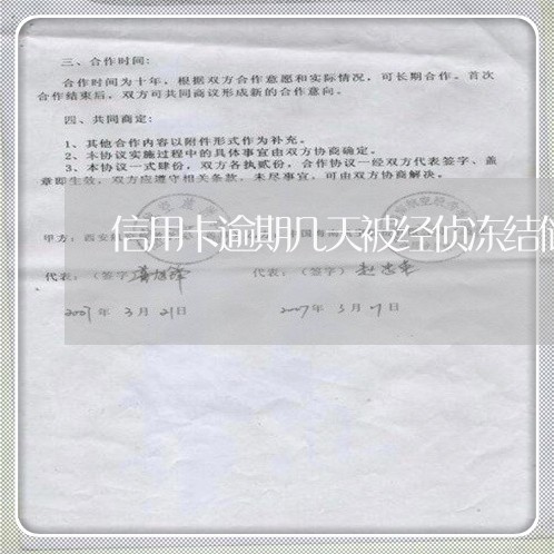 信用卡逾期几天被经侦冻结储蓄卡