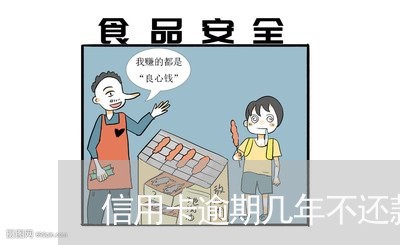 信用卡逾期几年不还款会怎么样/2023062806284