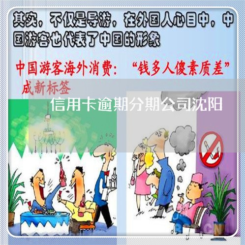 信用卡逾期分期公司沈阳 信用卡逾期分期公司沈阳