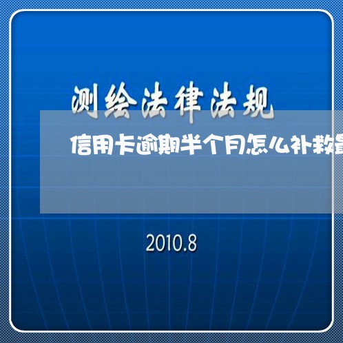 信用卡逾期半个月怎么补救最有效/2023062818150