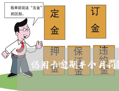 信用卡逾期半个月罚款多少 信用卡逾期半个月罚款多少