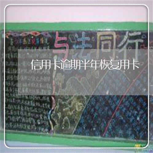 信用卡逾期半年恢复用卡 信用卡逾期半年恢复用卡