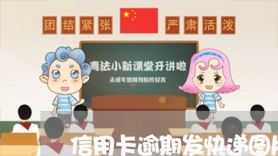 信用卡逾期发快递图片/2023121570794