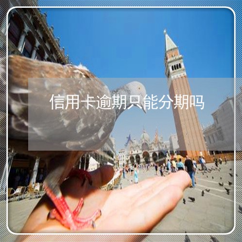 信用卡逾期只能分期吗/2023061609161
