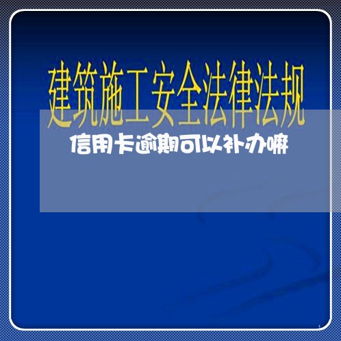 信用卡逾期可以补办嘛/2023032458460