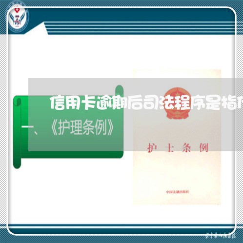 信用卡逾期后司法程序是指什么/2023030186261 信用卡逾期后司法程序是指什么/2023030186261
