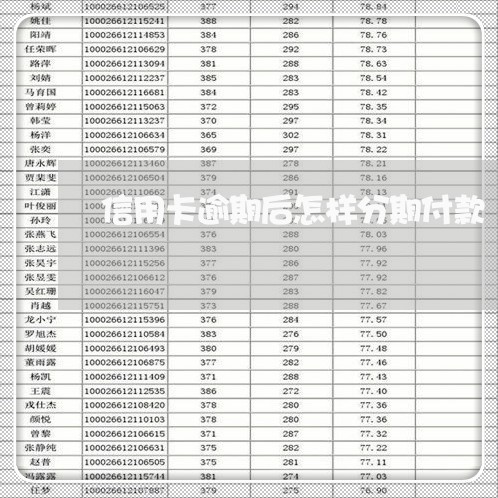 信用卡逾期后怎样分期付款/2023060240371