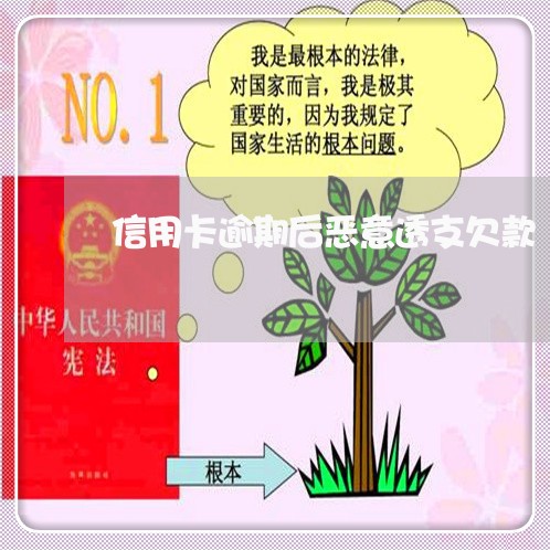 信用卡逾期后恶意透支欠款/2023041932824