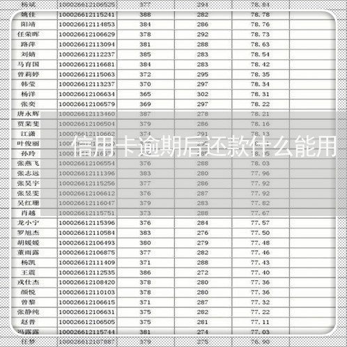 信用卡逾期后还款什么能用/2023041779378