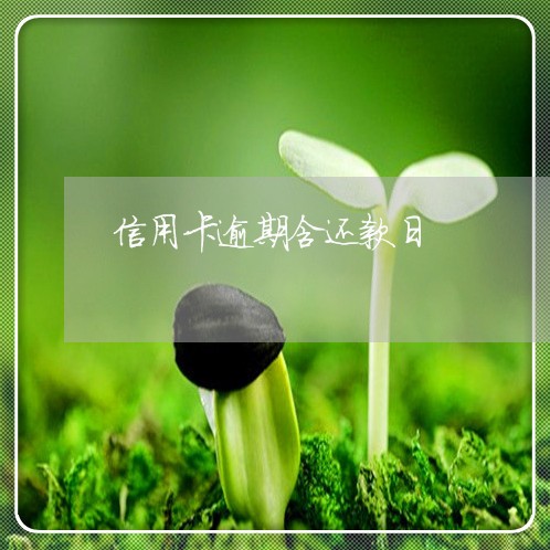 信用卡逾期含还款日 信用卡逾期含还款日