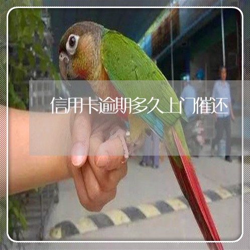 信用卡逾期多久上门催还 信用卡逾期多久上门催还