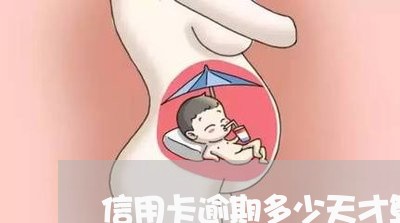 信用卡逾期多少天才算是黑户