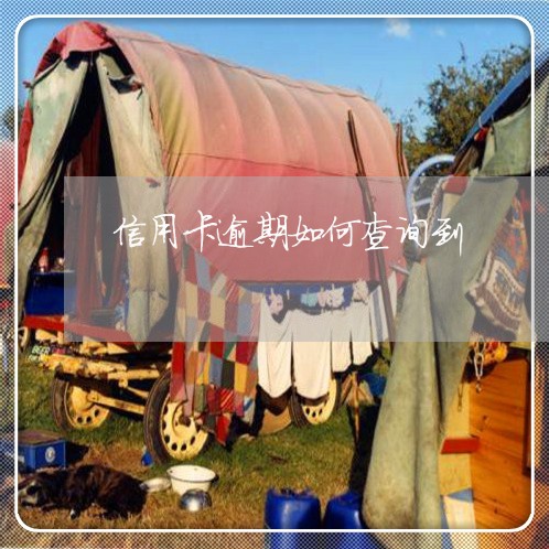 信用卡逾期如何查询到 信用卡逾期如何查询到