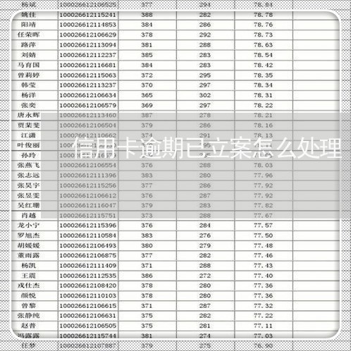 信用卡逾期已立案怎么处理/2023062227058