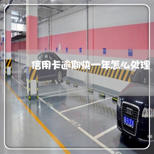 信用卡逾期快一年怎么处理 信用卡逾期快一年怎么处理
