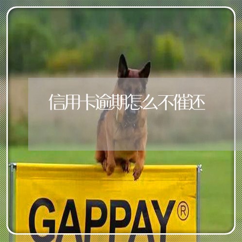 信用卡逾期怎么不催还/2023061893714
