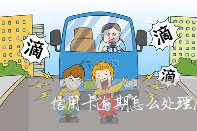 信用卡逾期怎么处理问题 信用卡逾期怎么处理问题