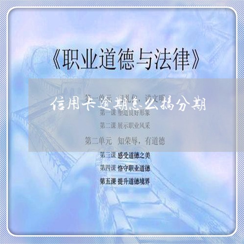 信用卡逾期怎么搞分期/2023061640181