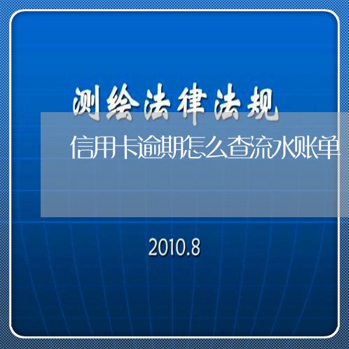 信用卡逾期怎么查流水账单/2023062038360