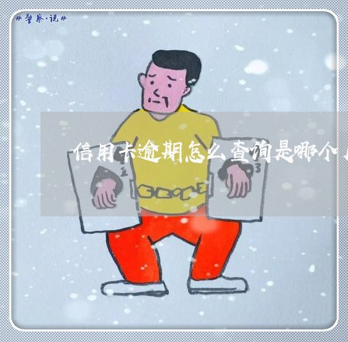 信用卡逾期怎么查询是哪个月的