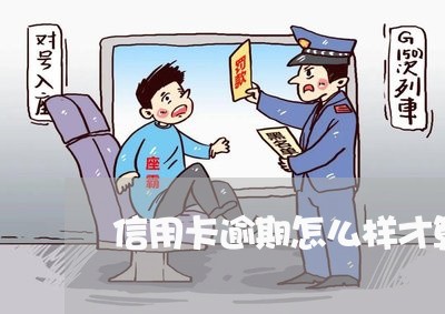 信用卡逾期怎么样才算黑户/2023092307369