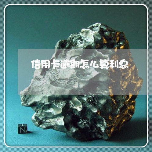 信用卡逾期怎么算利息/2023061785039