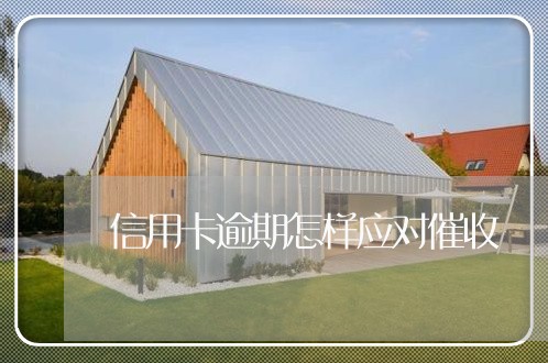 信用卡逾期怎样应对催收 信用卡逾期怎样应对催收