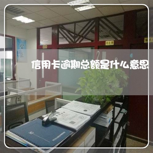 信用卡逾期总额是什么意思/2023061524139