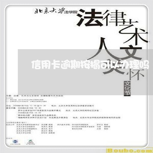 信用卡逾期按揭可以办理吗/2023060396040