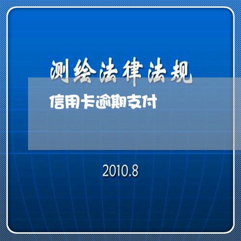 信用卡逾期支付/2023071598258