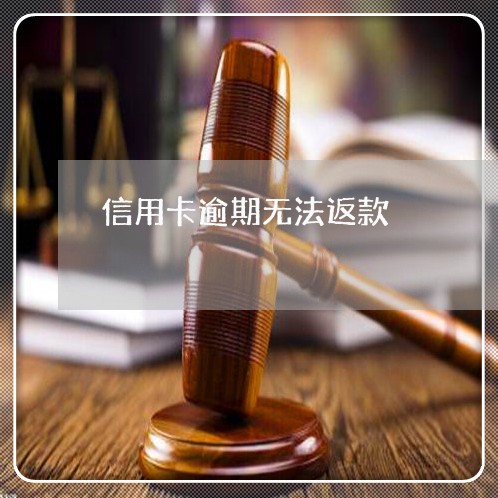 信用卡逾期无法返款/2023061773706