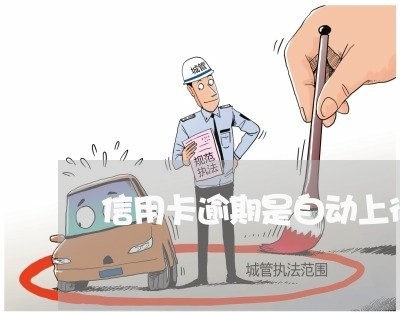 信用卡逾期是自动上征信嘛 信用卡逾期是自动上征信嘛