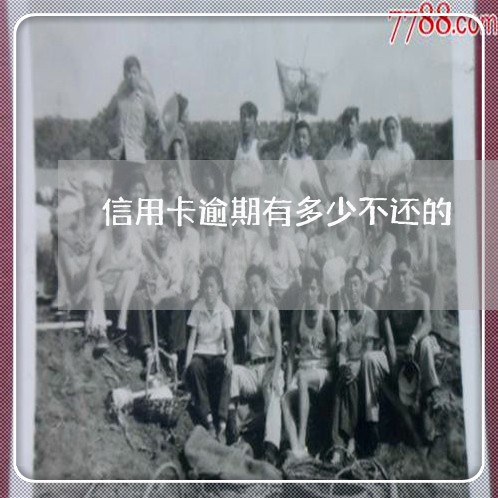 信用卡逾期有多少不还的