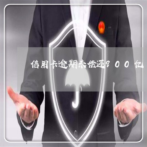 信用卡逾期未偿还900亿/2023060243847