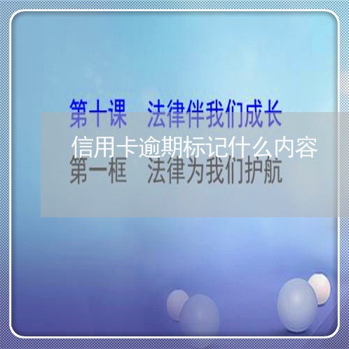 信用卡逾期标记什么内容/2023121694818