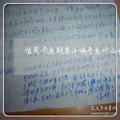 信用卡逾期案件编号是什么意思/2023062864806