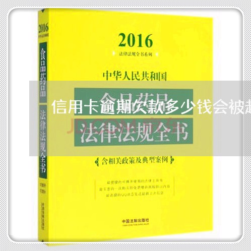 信用卡逾期欠款多少钱会被起诉 信用卡逾期欠款多少钱会被起诉