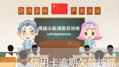 信用卡逾期欠款被抓