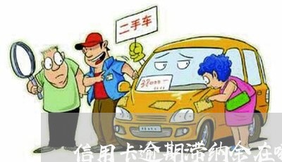 信用卡逾期滞纳金在哪里看 信用卡逾期滞纳金在哪里看