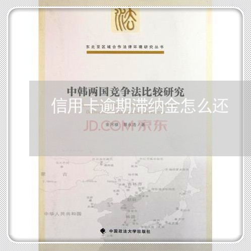 信用卡逾期滞纳金怎么还/2023040246371