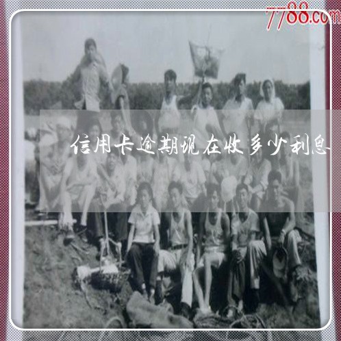 信用卡逾期现在收多少利息